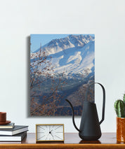 70f8305d-f698-4bdb-8736-dbef0ec5d53c