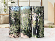 71041908-b531-44f0-a66a-f49c46ecdcca