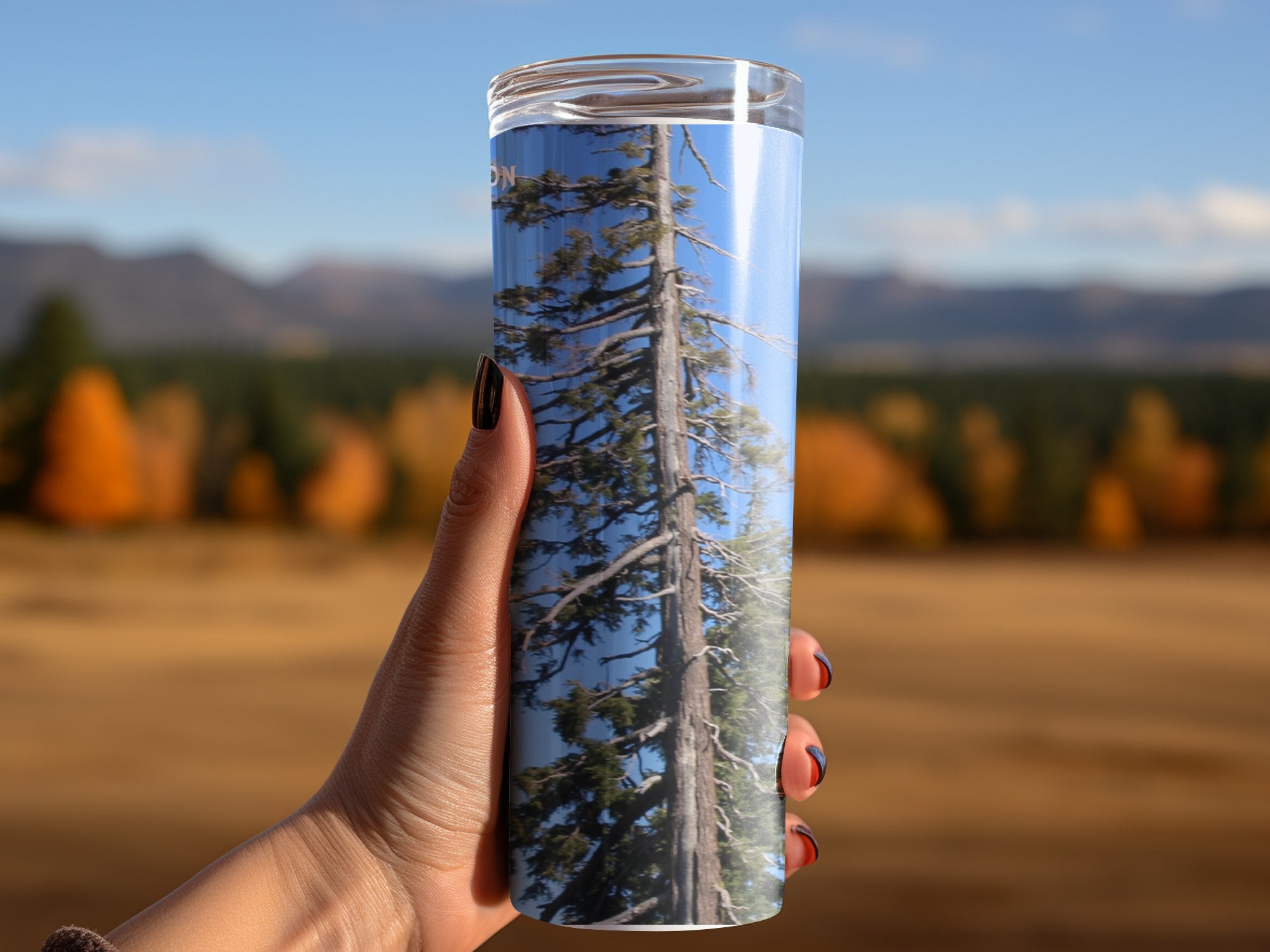 716f1476-f006-4793-81b1-e5bc6033e950