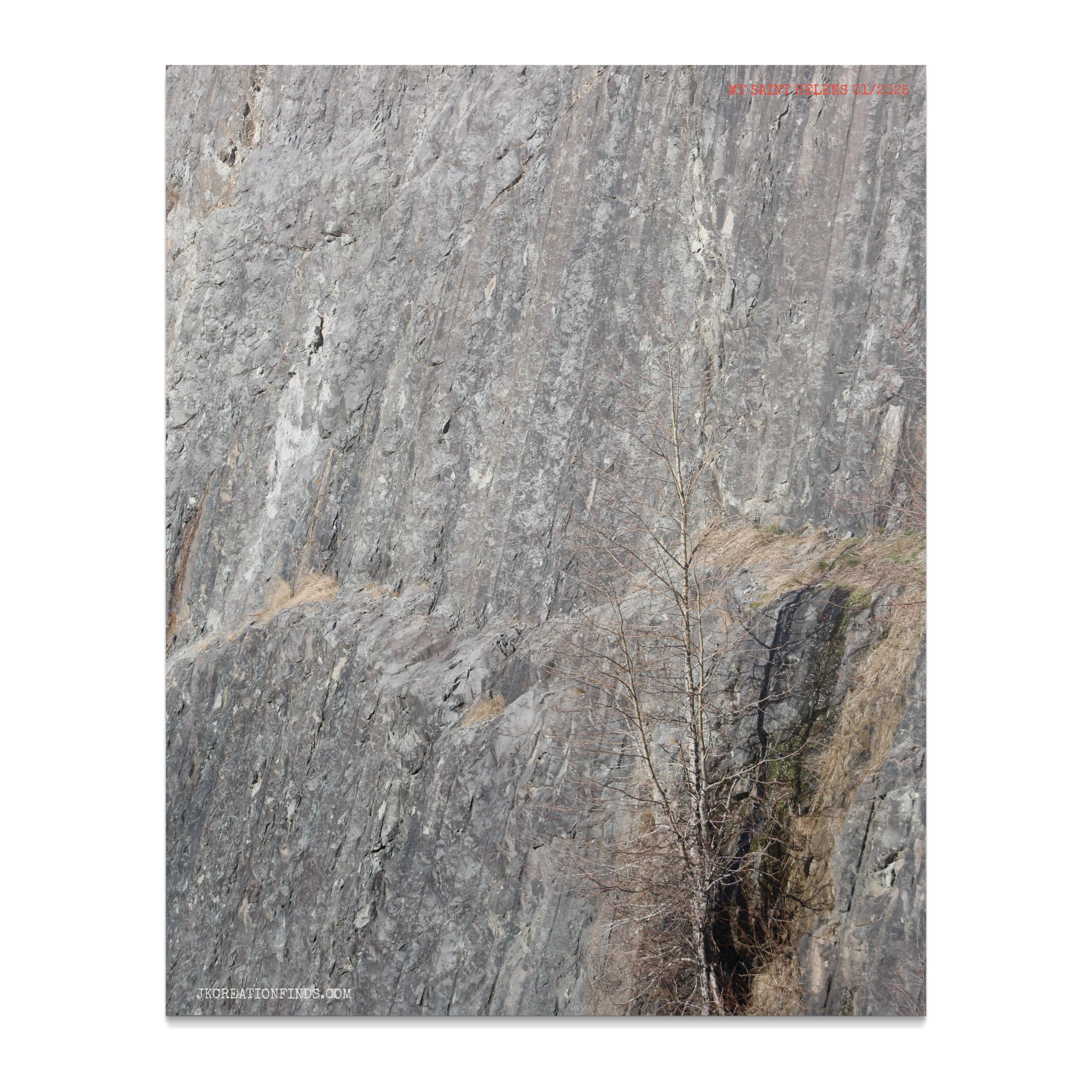 725389e3-b321-49bf-b75a-7f4f2ef7a2d3