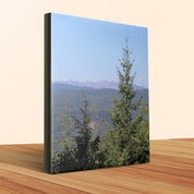 72f11464-e984-4390-9ab2-00cce6a3f992