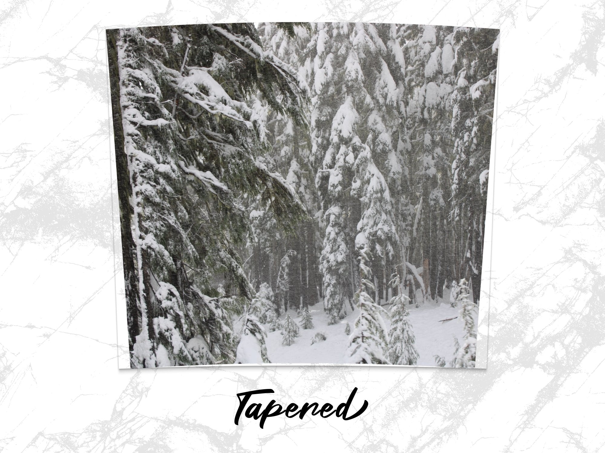 7303132f-9022-4355-baaf-d5252fa970c2