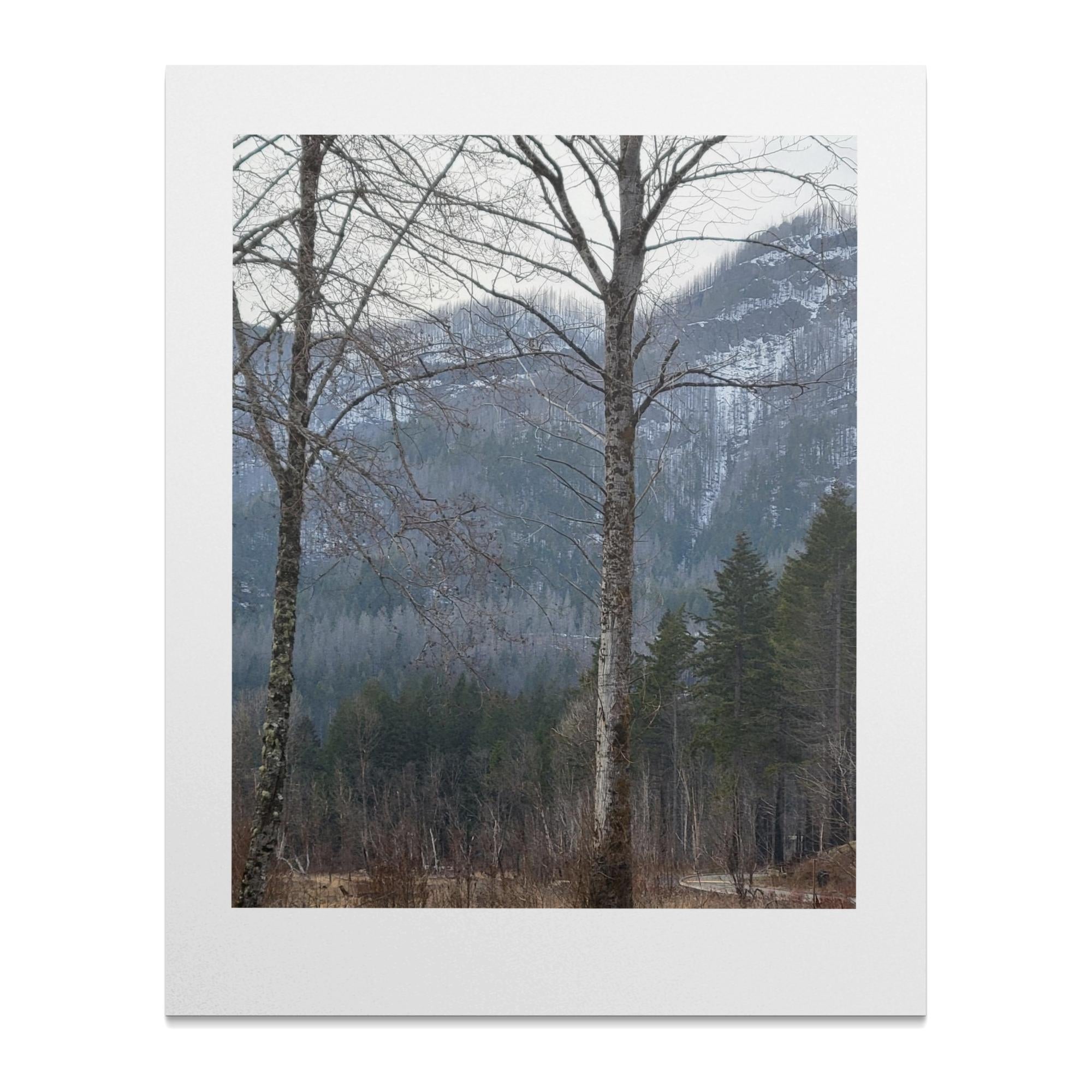 734a3d20-b69b-4721-a1fd-20e26c35ee41