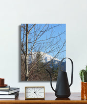 73a33dd9-2d6d-413e-bda5-b87c7d8f41a2