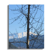 73e34f90-83d8-439d-9c4e-ecaeb3cc72b4