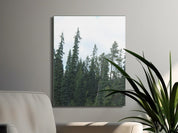 740fa207-0fac-4e70-aa52-2dd4a3b3e010