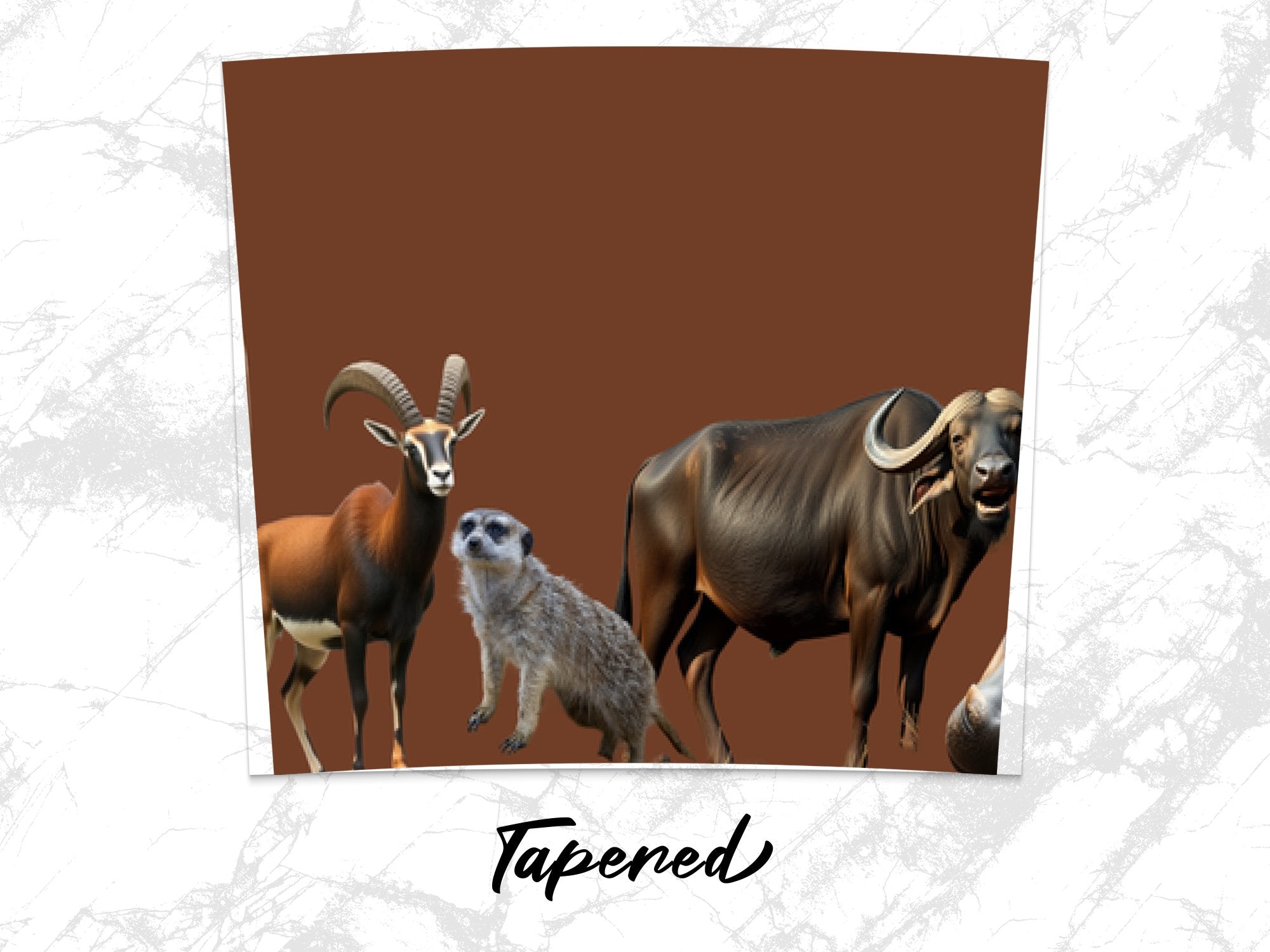 749c978a-09c8-4a8e-a224-7f6e46ccb89e