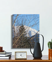 755026c1-8a5f-46df-8a79-16ea05a69d2d