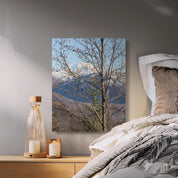 763166be-6b23-450c-9db4-2990ccfdb9c6