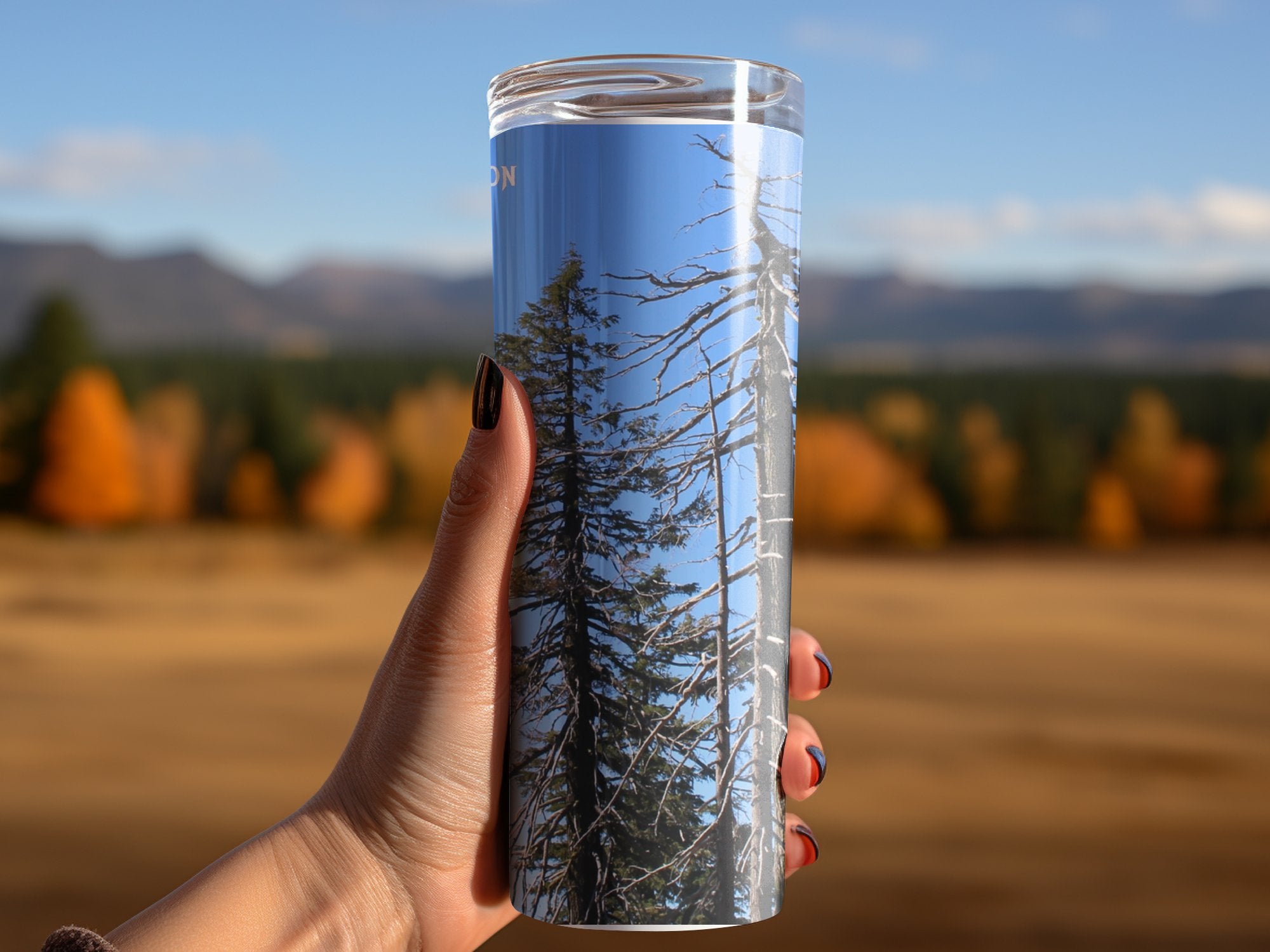 768b7574-ac3c-4a0d-bcf7-841487c4ed2d