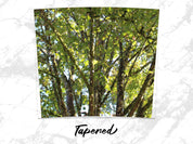 76ae0020-a4c9-4803-9394-8f19468b724b