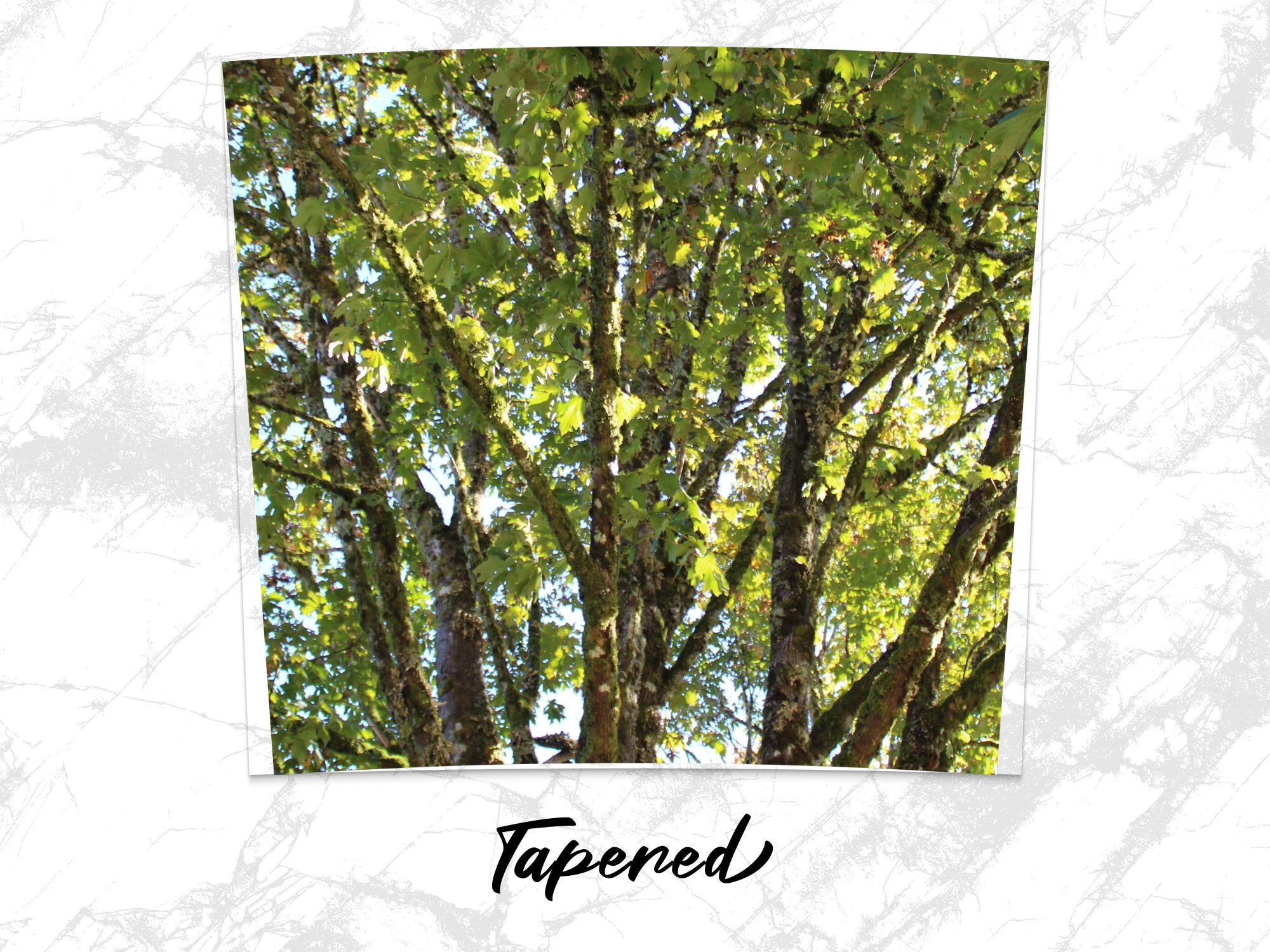 76ae0020-a4c9-4803-9394-8f19468b724b