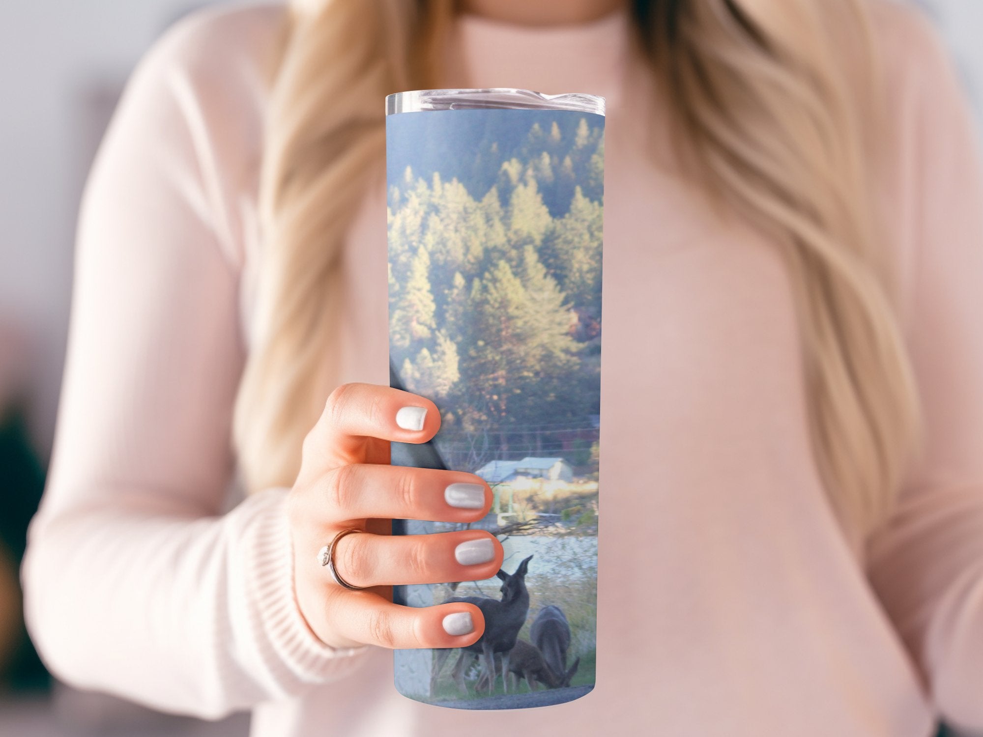 77af4fcd-0aa1-4a3d-83da-fb4c0c6606cd