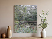 77e698e5-e1b1-4411-a552-5fcf393a4f9d