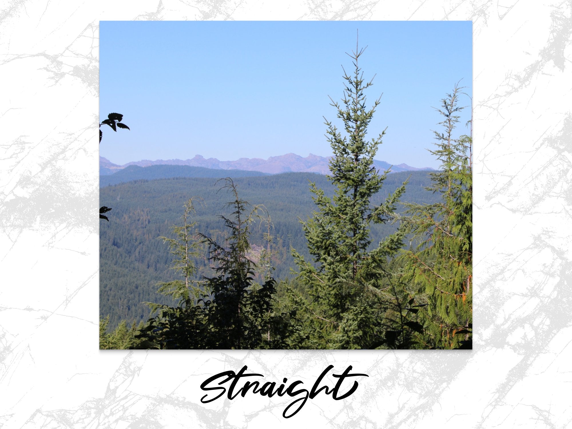 785b7953-190d-4db9-a9be-4ca962f34fb2