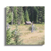 788afe36-5604-4769-ad51-a6dc37f7ed13