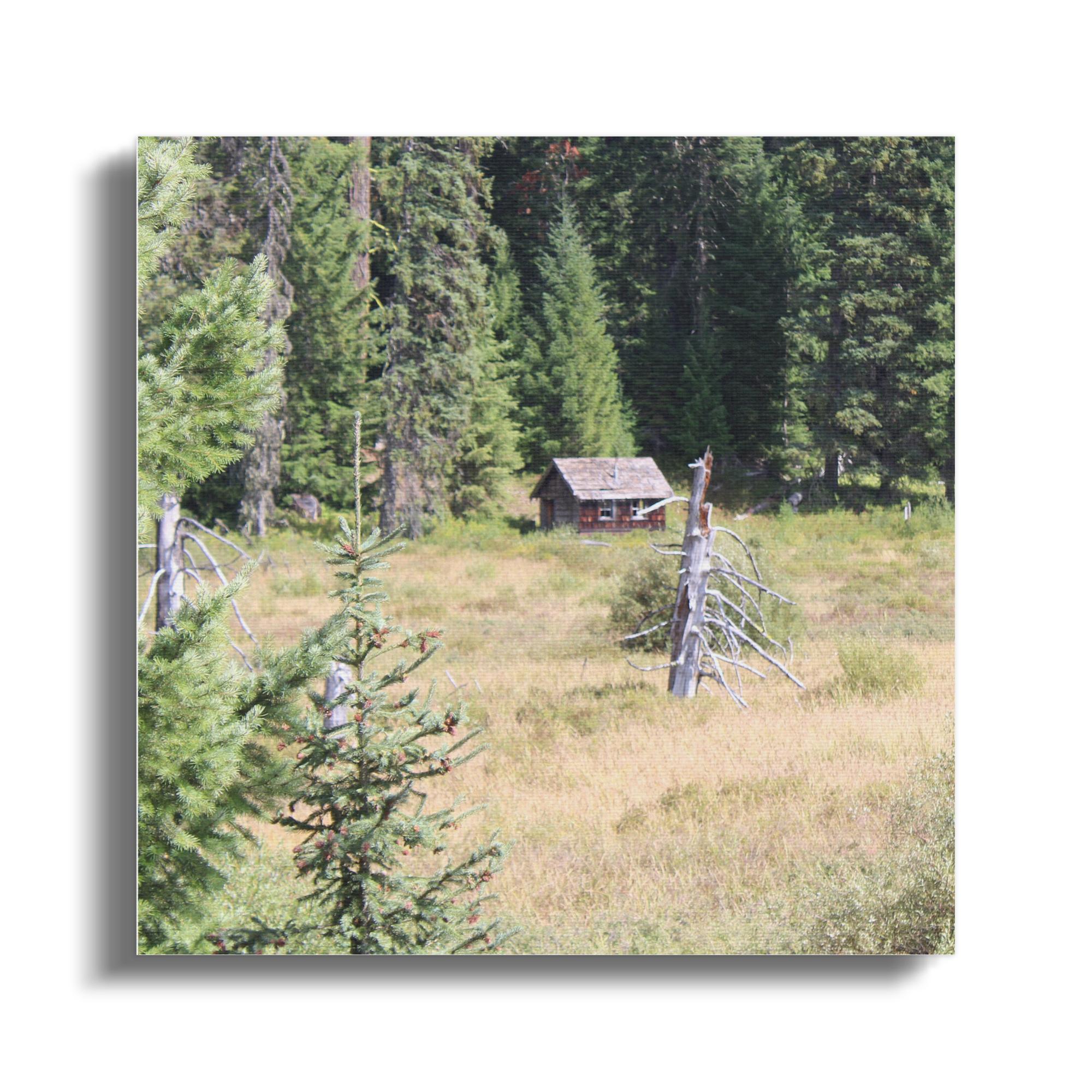 788afe36-5604-4769-ad51-a6dc37f7ed13