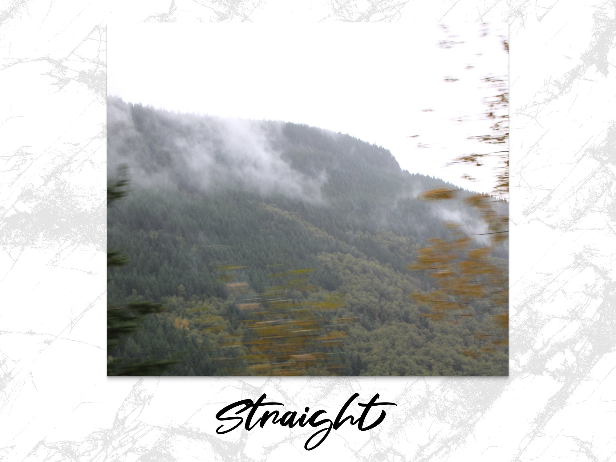 788ff269-cb6f-46a6-9c3d-b9be515e9a3c