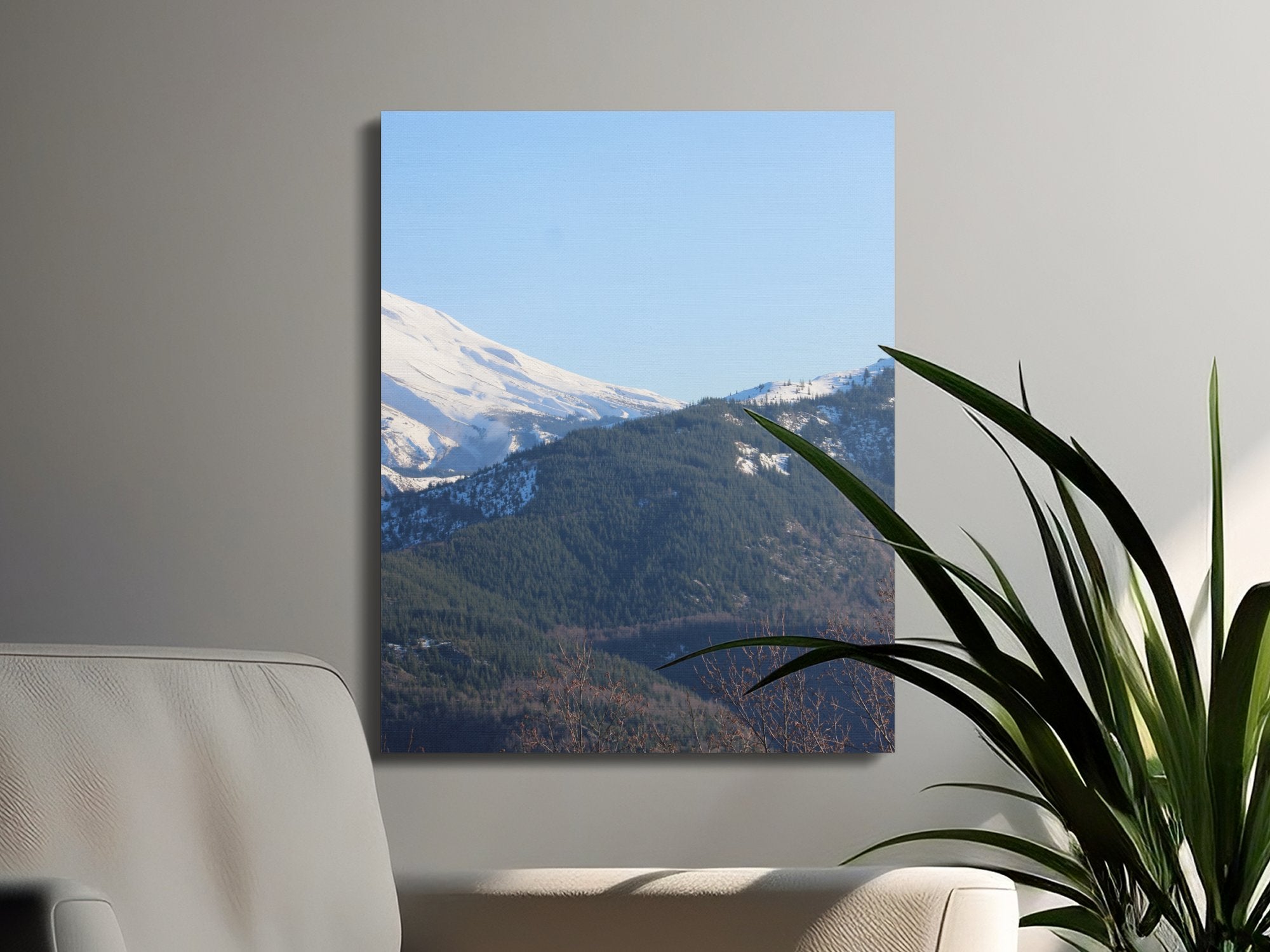 78ab3981-e775-4872-9992-67edf1e50a4d