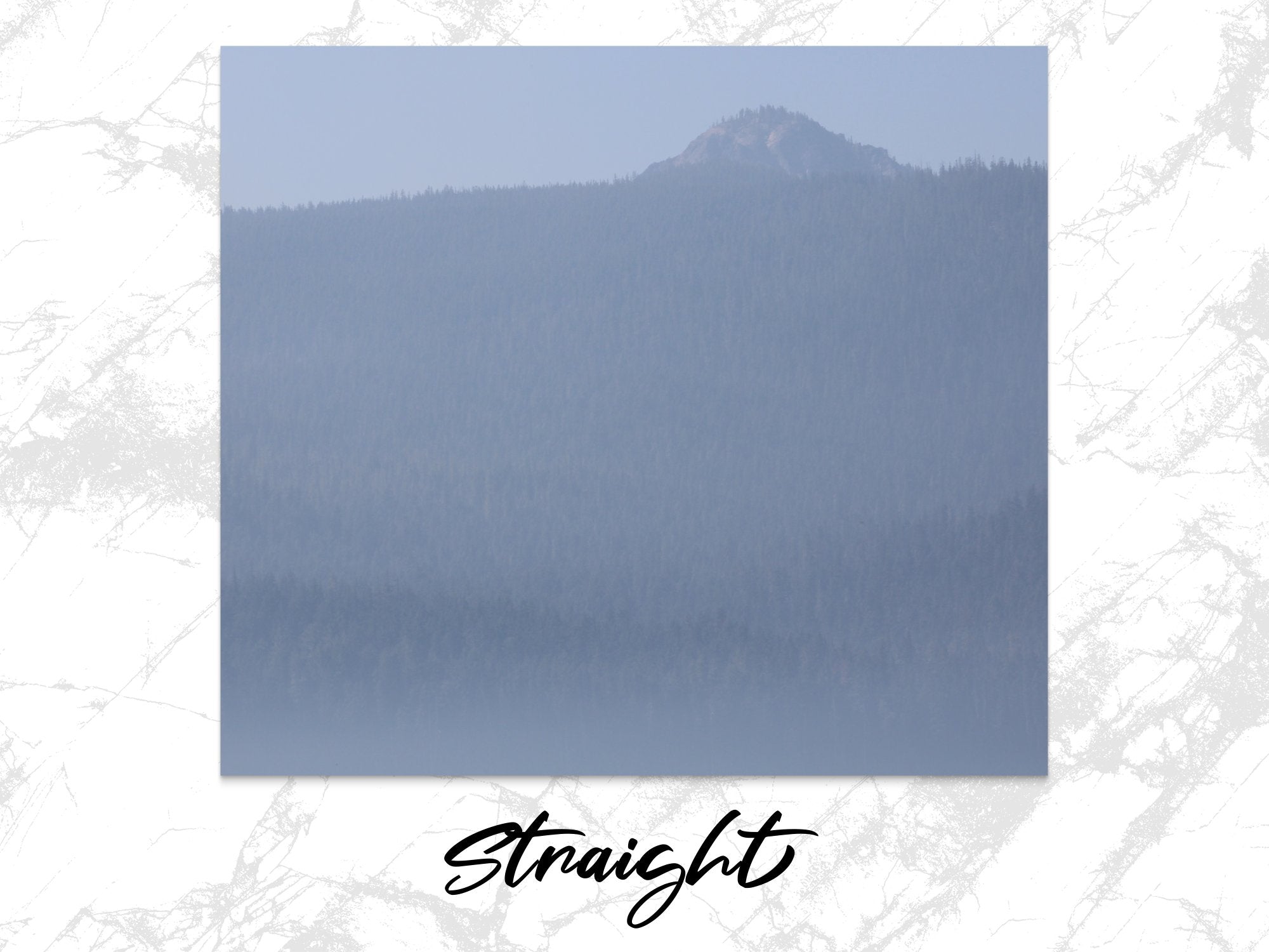 79ab403a-2232-44f1-966d-63f4ea84ec9c