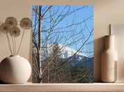 7a3bb91e-46fe-4d50-a3b4-e23c19320db0