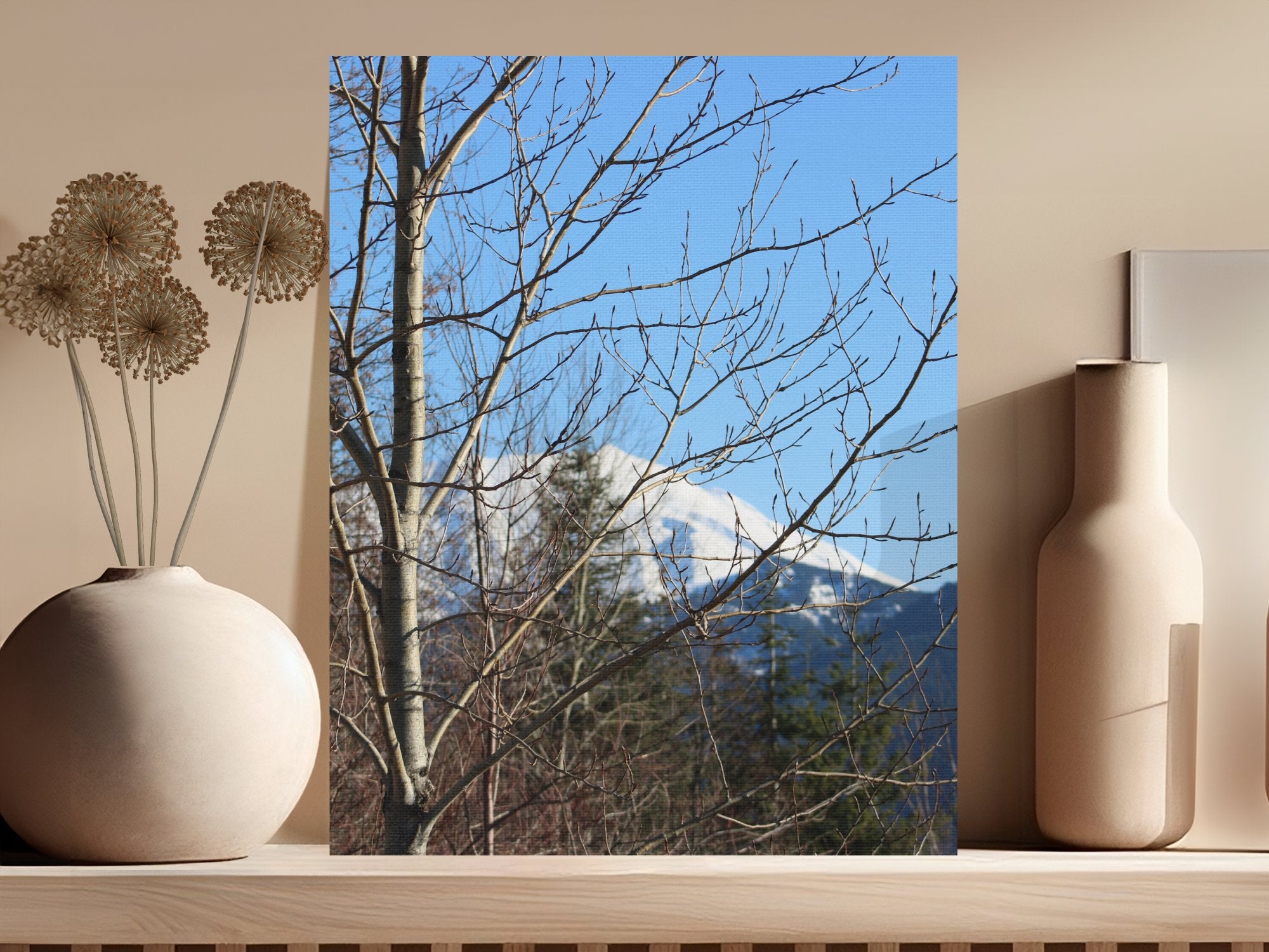 7a3bb91e-46fe-4d50-a3b4-e23c19320db0