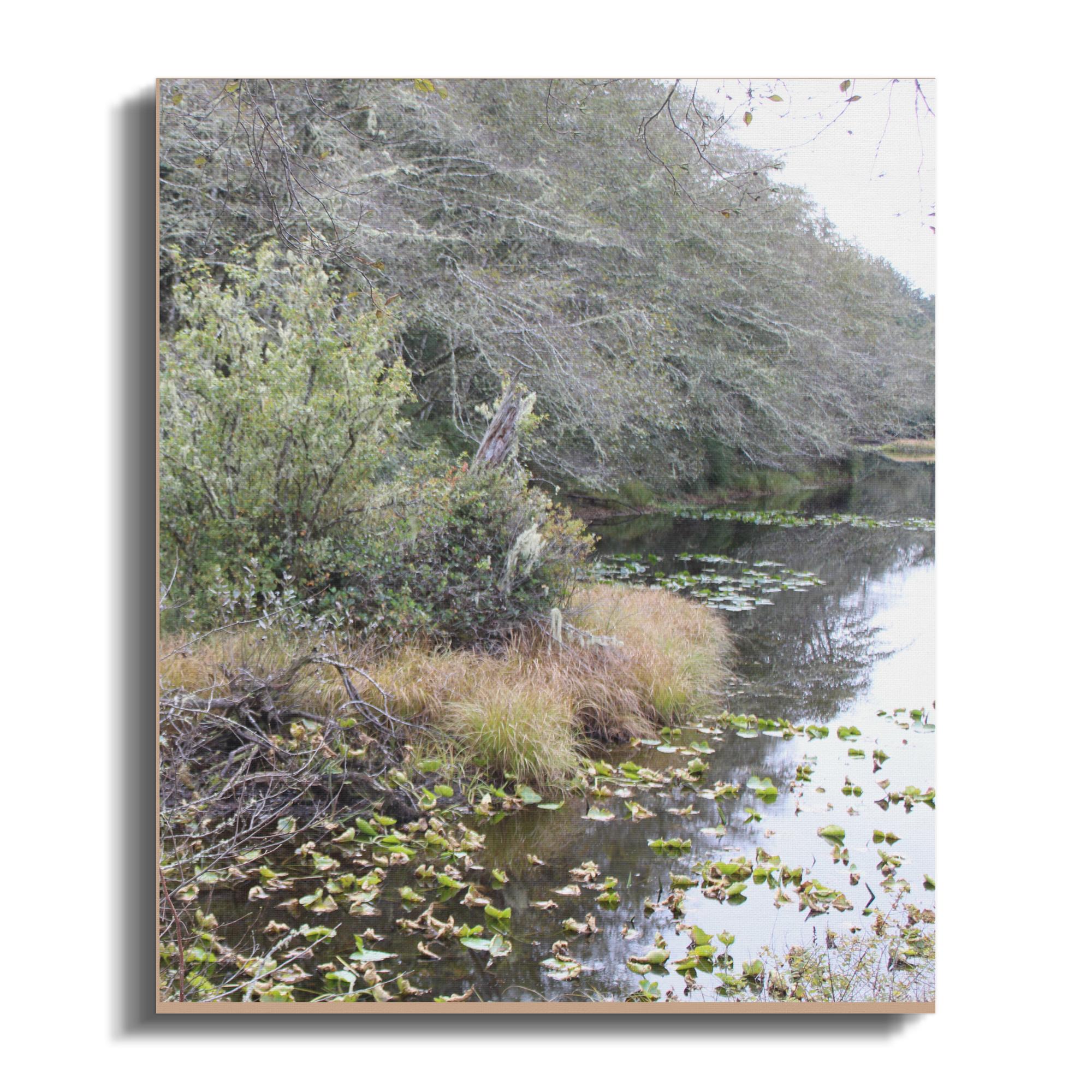 7a5eb4f0-b52c-4e69-9b33-39faccf31d08