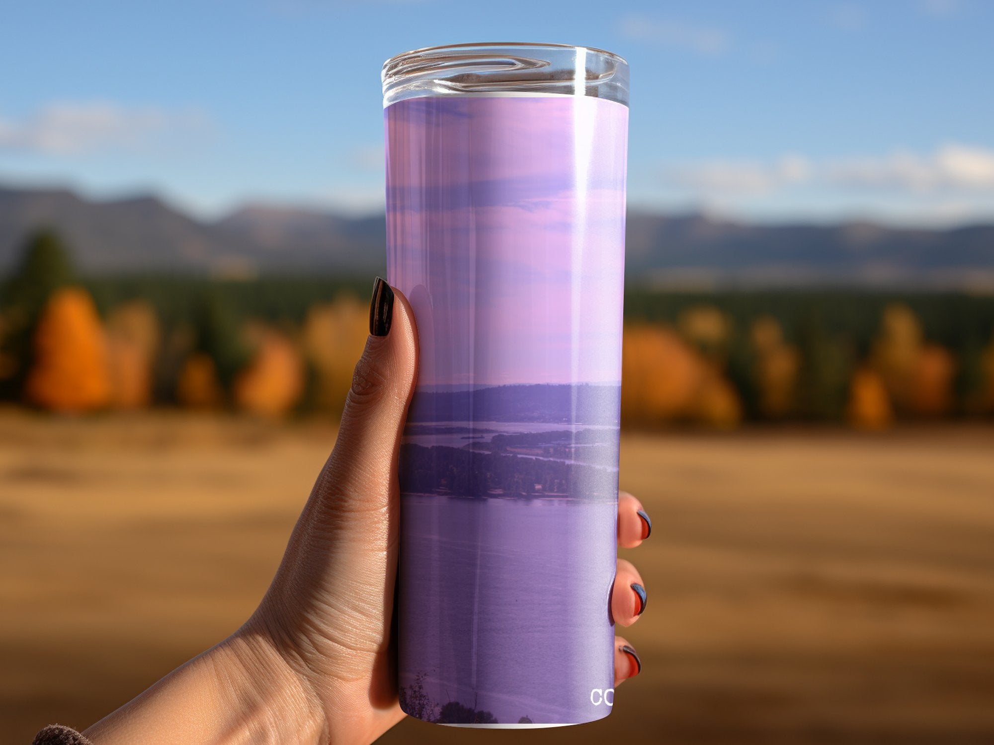 7c26de35-29d6-47ce-80ca-908dac95d41d