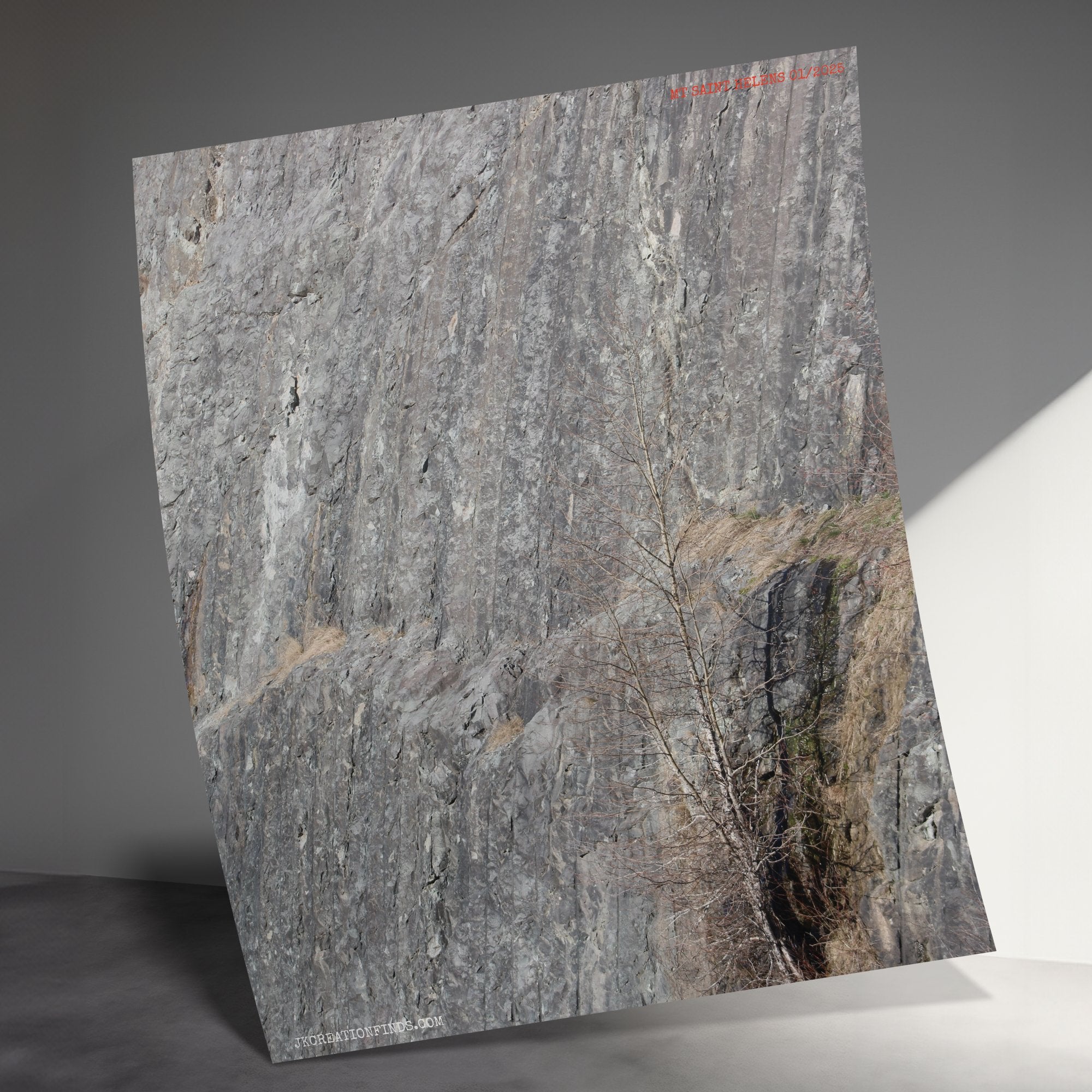 7d6840d3-8ba2-460b-9acc-8ababe76b22a