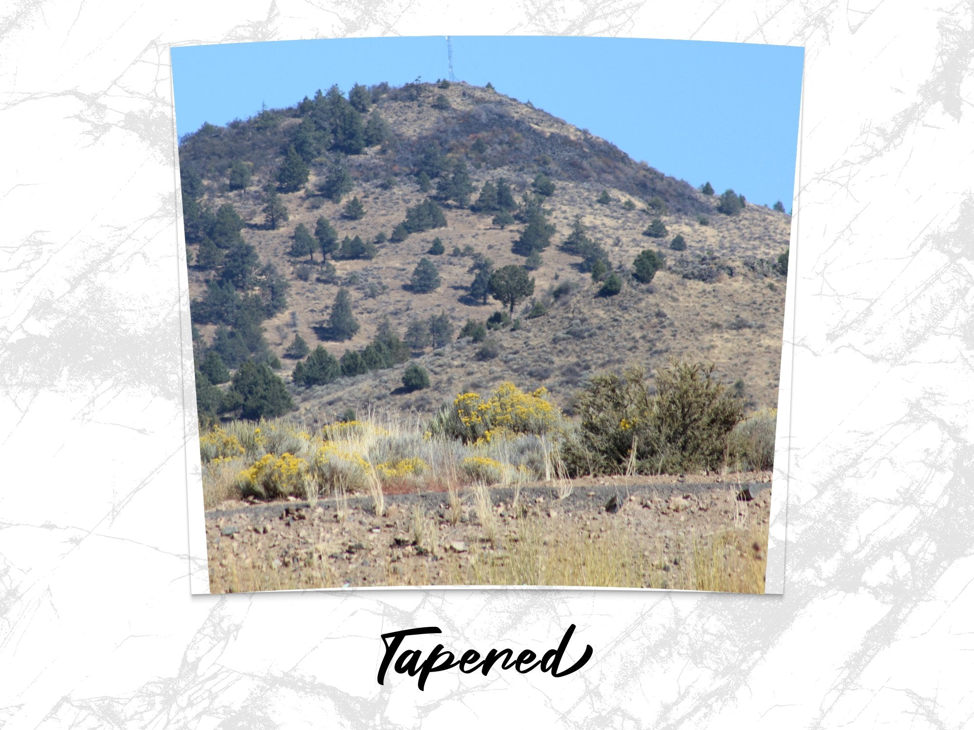 7d7b0ca7-63a2-415e-8222-e450d1e80ecc