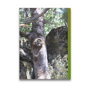 7e357e2a-7315-4895-9bfb-645e566e5dae