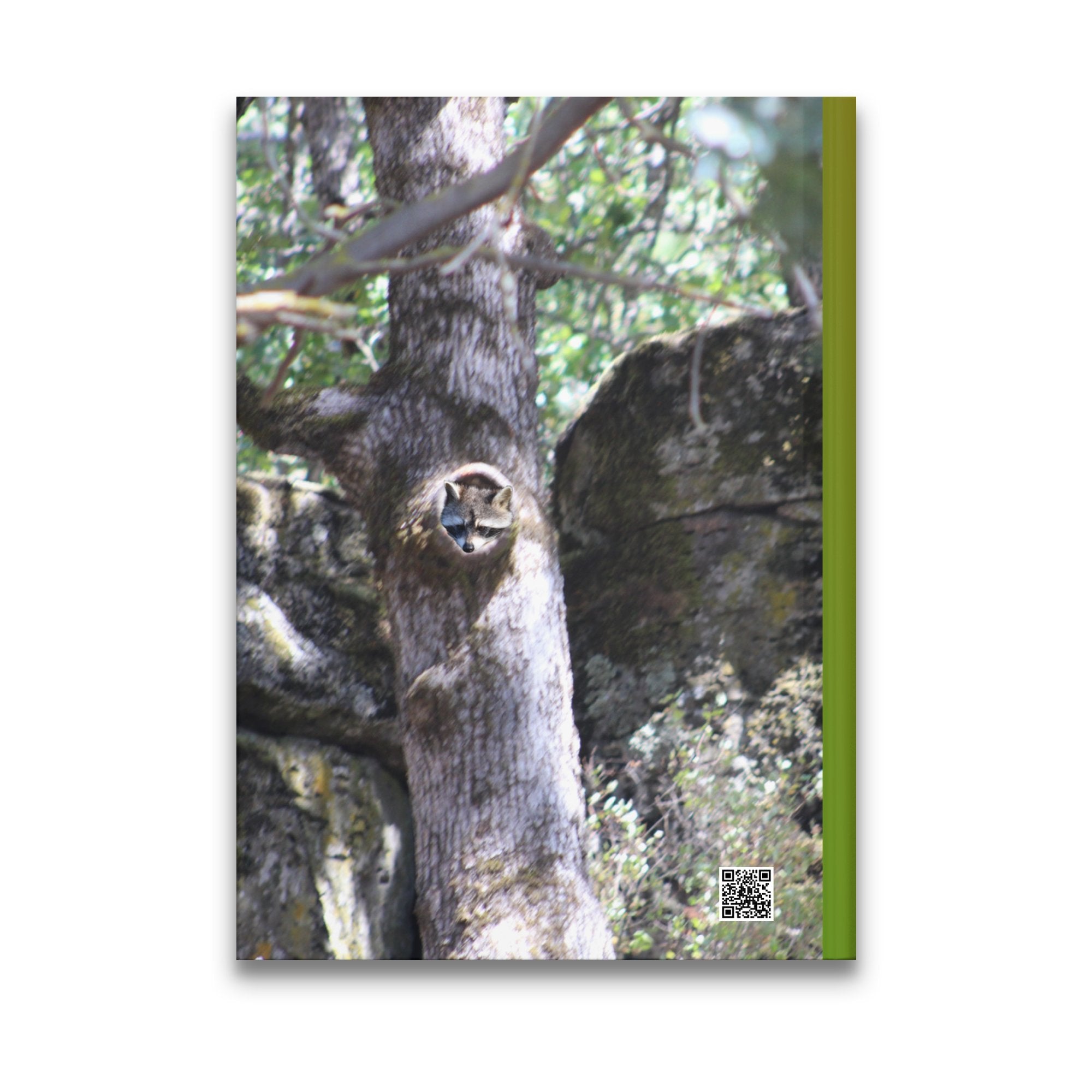 7e357e2a-7315-4895-9bfb-645e566e5dae