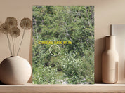 Staring Back at Ya Intriguing Artistic Photography product