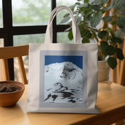 7f9f4dec-d1b3-4566-9a89-da3674c41041