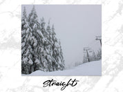 7fe6a5fb-0028-4498-8384-5d0f6942749d