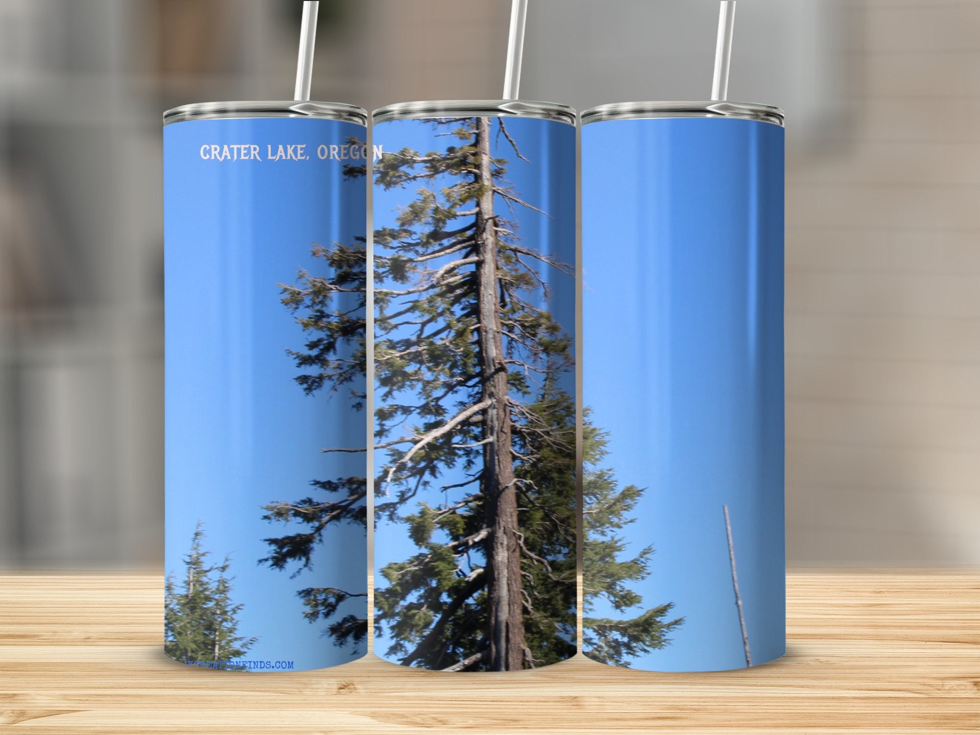 8149ad65-aa03-4e8f-84c6-524c52b32d3e