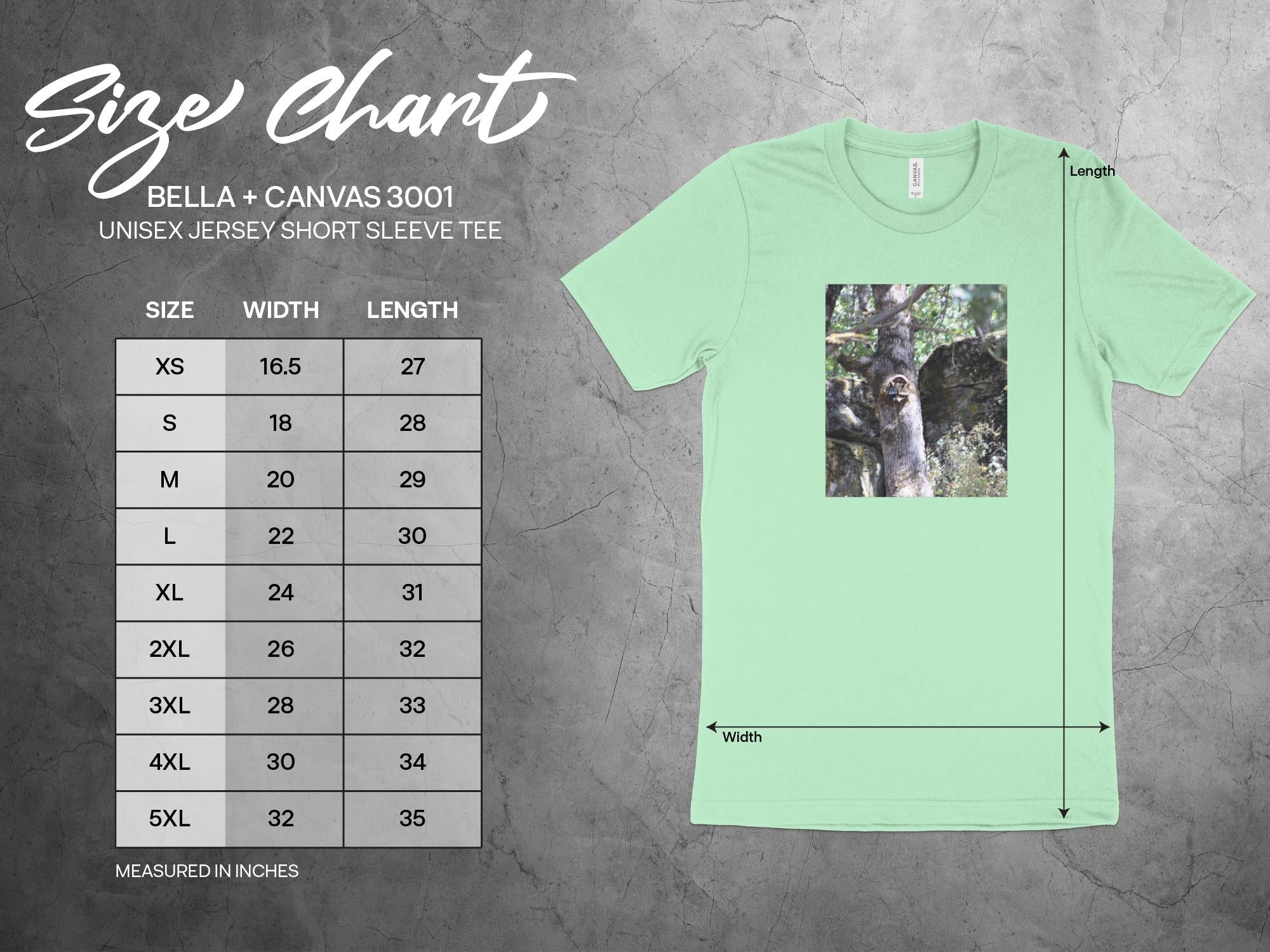 81650409-ae40-4310-ae5c-4599f2d0847e