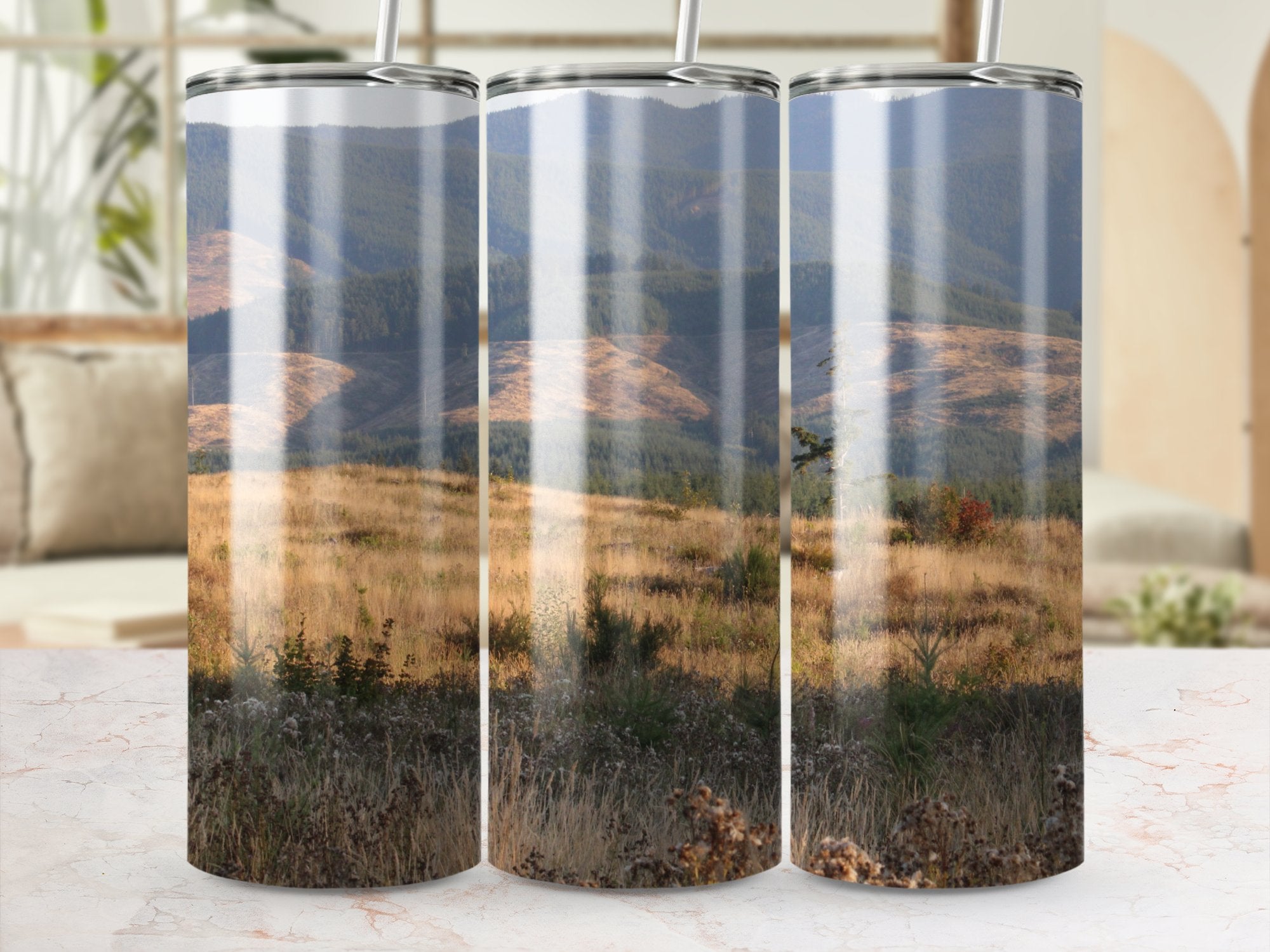 816a8732-a273-4bda-ae87-e40e27de099d