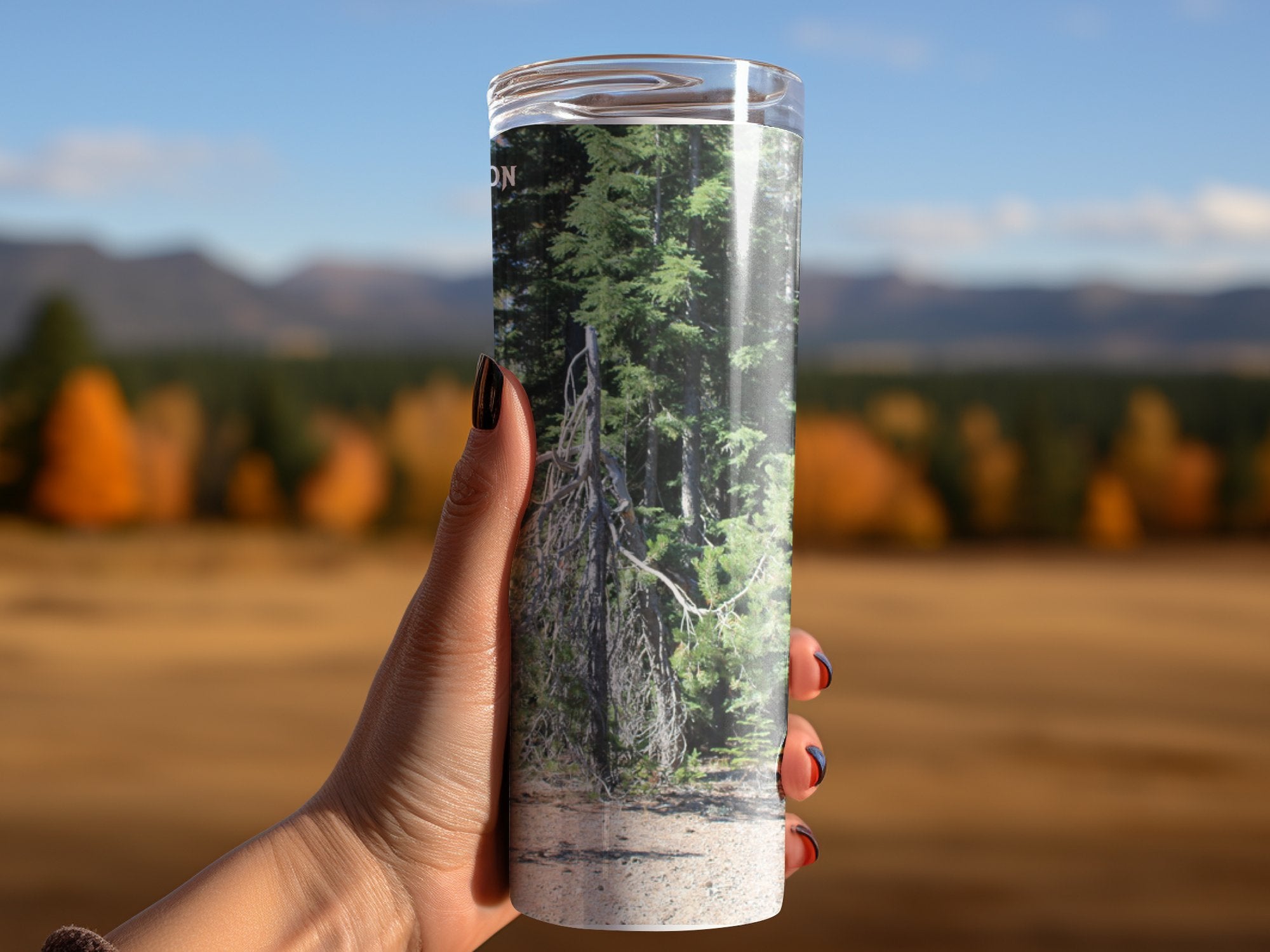 82502fb5-5c54-4431-ad1b-b9f047d3637f