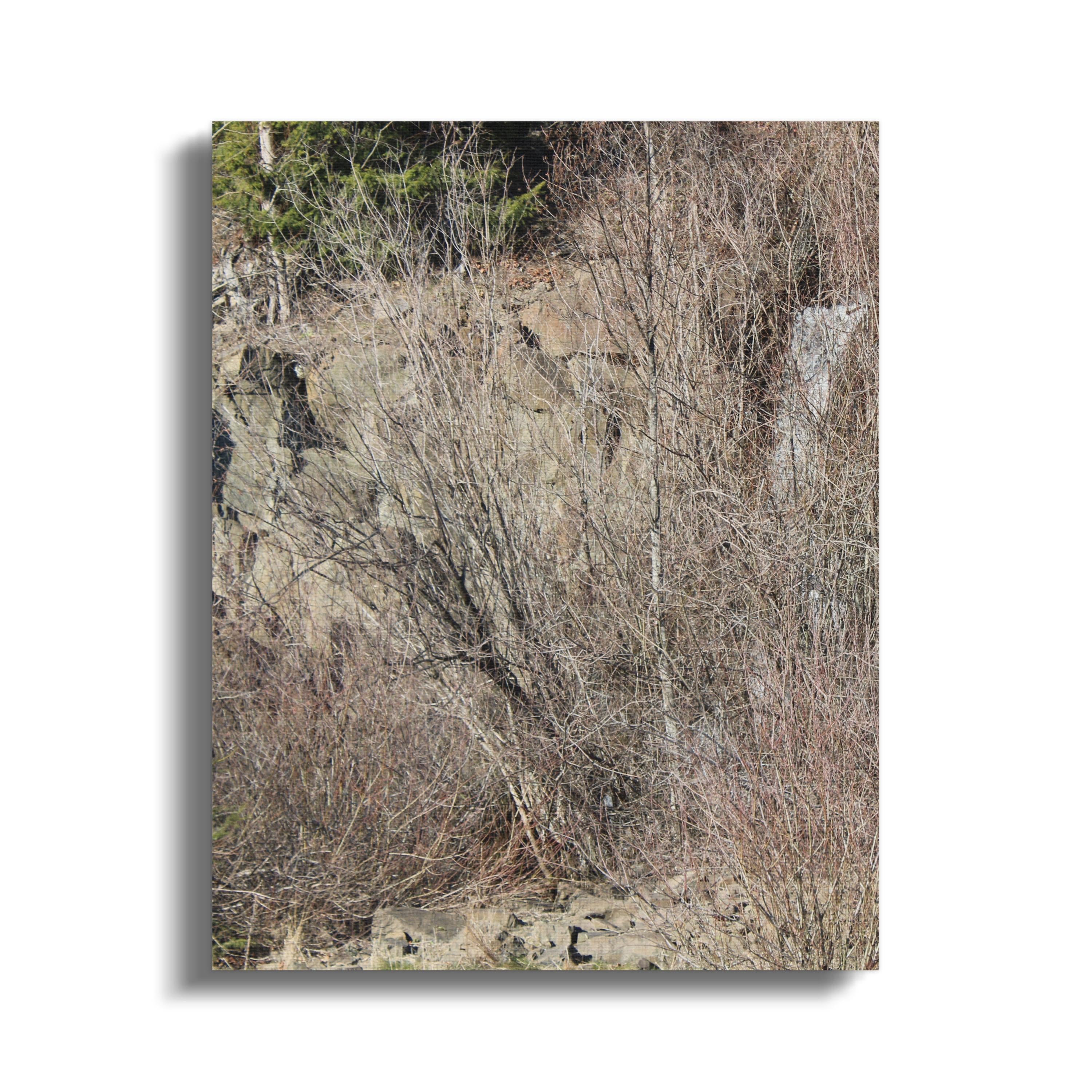 82bc52ae-d6e0-4159-87f3-6d75f2219796