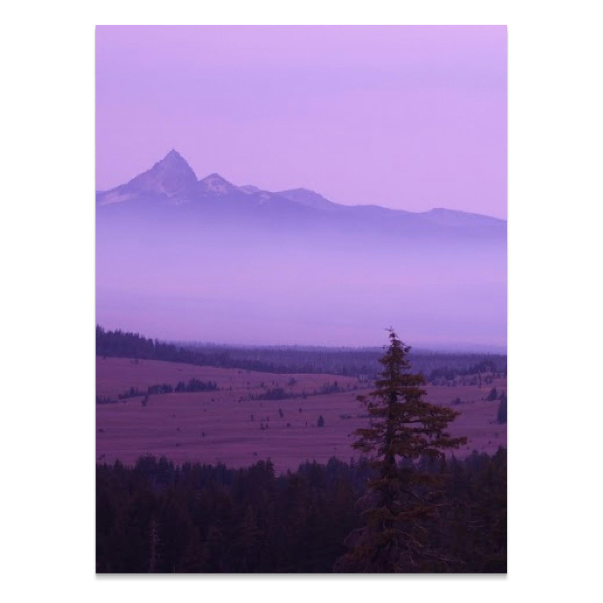 8349b65c-4d8b-493e-9522-d512cdeeba66