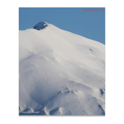 835687b8-9686-412e-a146-de98292aa6ee