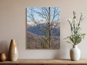 841b27d9-7461-4449-b7b3-25b7078adbda