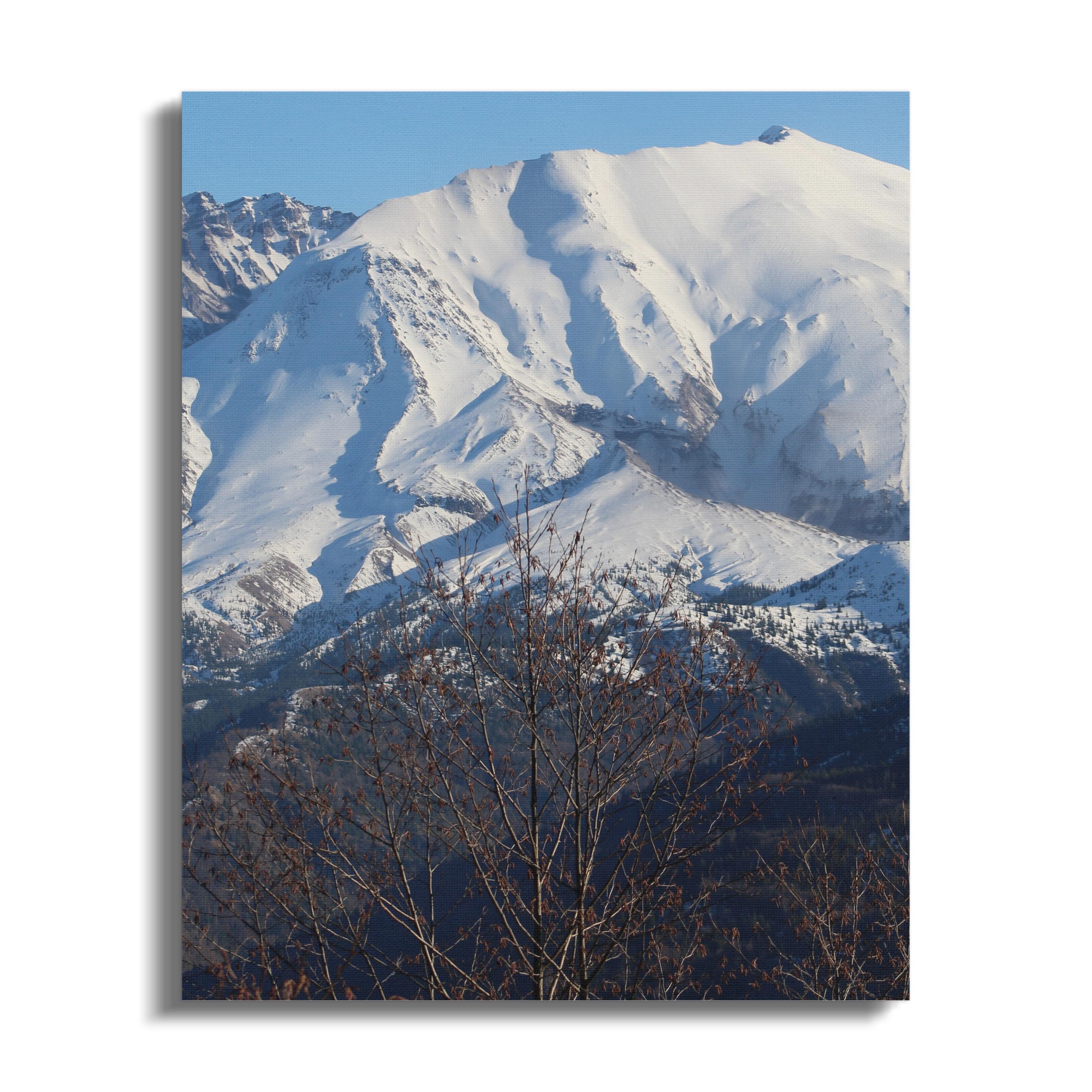 846993f6-9cbe-498e-a364-1f78745a5d19