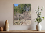 84f27e18-c22b-47c1-855e-7e95d3805cfe