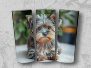 85215faa-28f9-440d-9f90-004da7f8d322