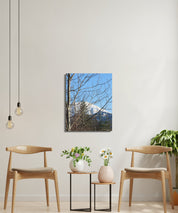 8524f13c-2980-469b-9d3d-1bfbd5a7414e