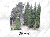 853bd96f-b60f-482c-b303-be6b701ae4f6