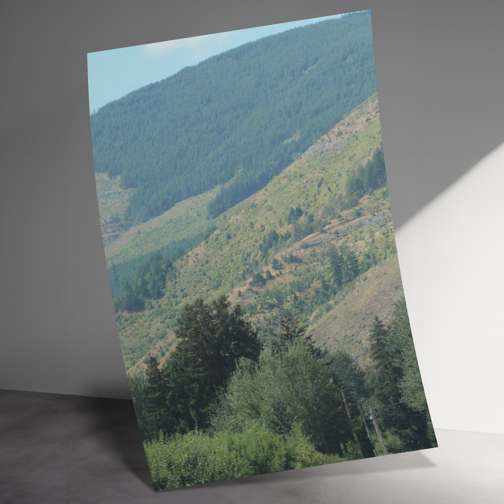 855919fb-f22d-4aa2-acca-a27d5f5ebe48