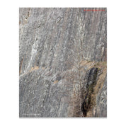 855d88e2-e5d6-4f60-b63a-72fe43901ebe